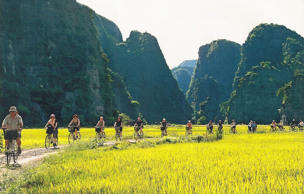 Cycle through peaceful villages and lush rice paddies for an authentic countryside experience